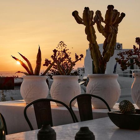Elaia Luxury Suites Mykonos Mykonos Town Kültér fotó