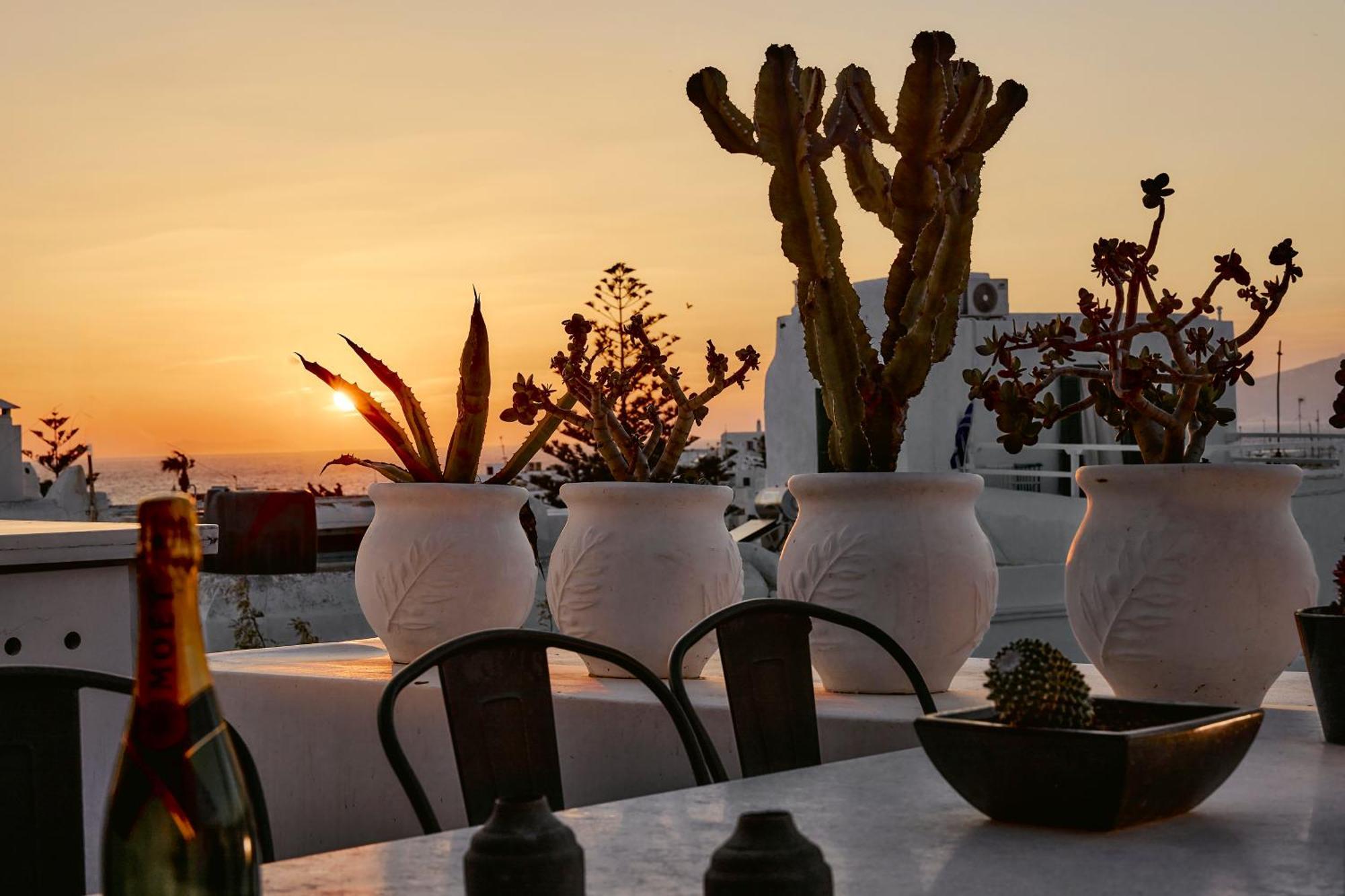 Elaia Luxury Suites Mykonos Mykonos Town Kültér fotó